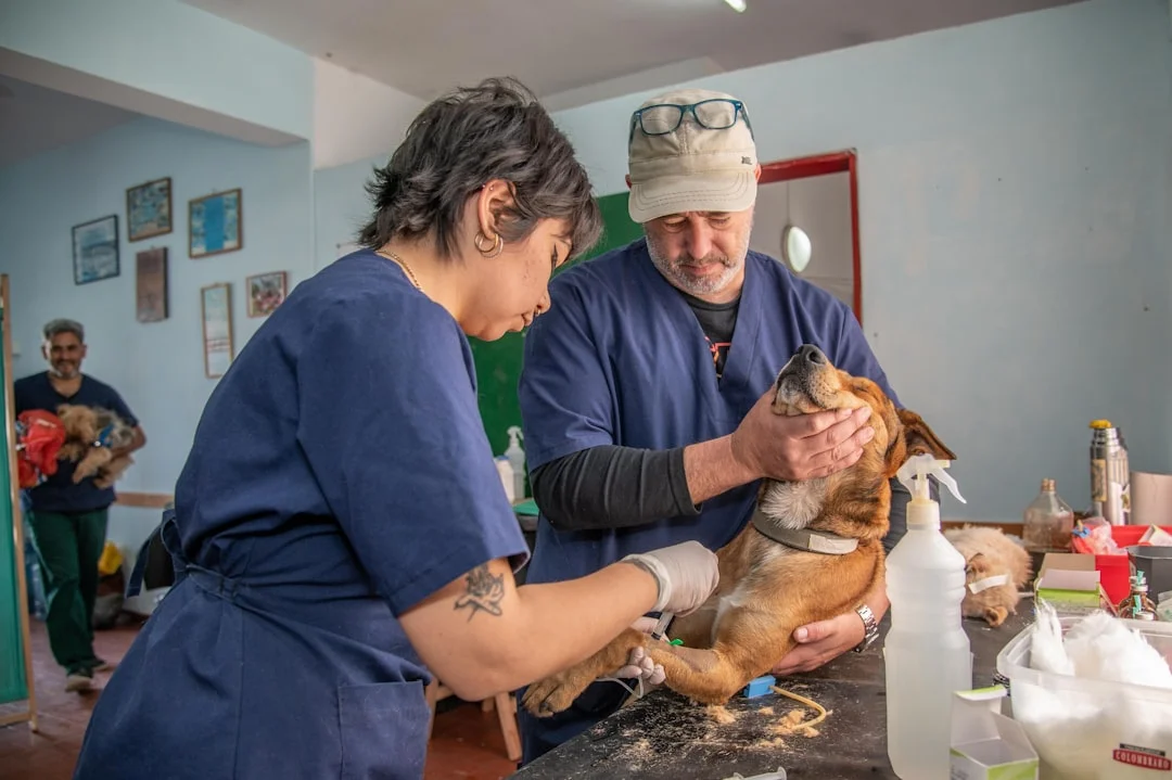 Clínica Veterinaria Ebro