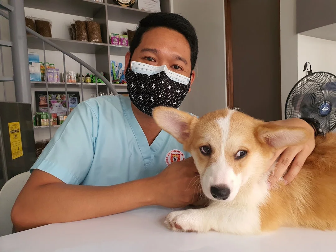 veterinarian with puppy
